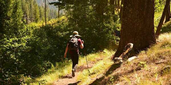 Nature Tourism